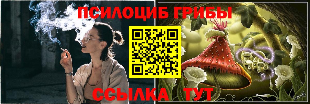 Псилоцибиновые грибы GOLDEN TEACHER Лабинск