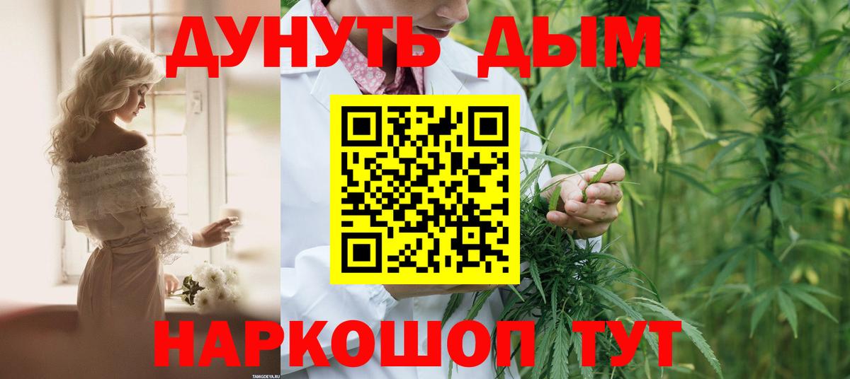 Бошки марихуана конопля Лабинск